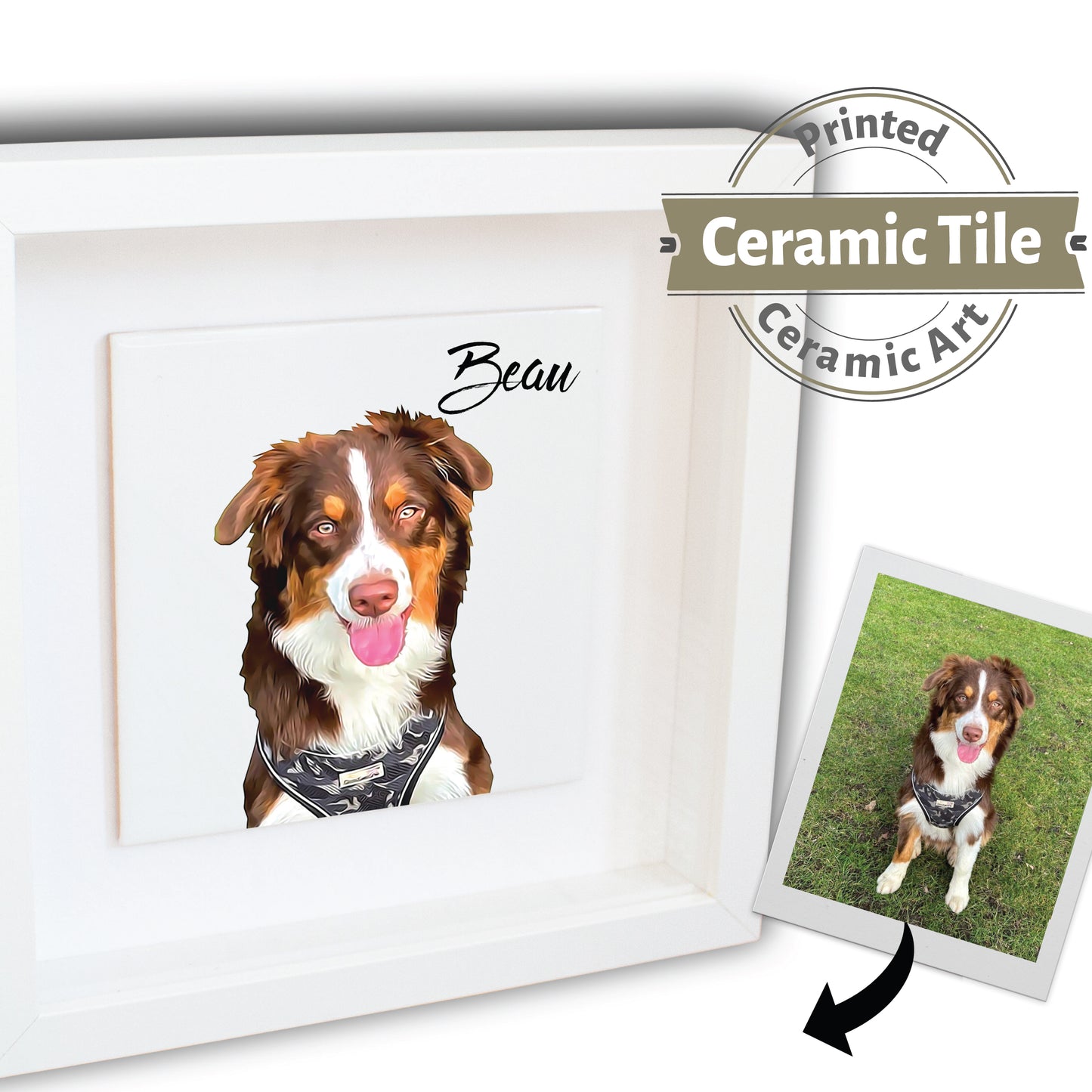 Personalised Pet Dog Cat Brush Portrait Custom Photo Print on Ceramic Tile in Box Frame Gift