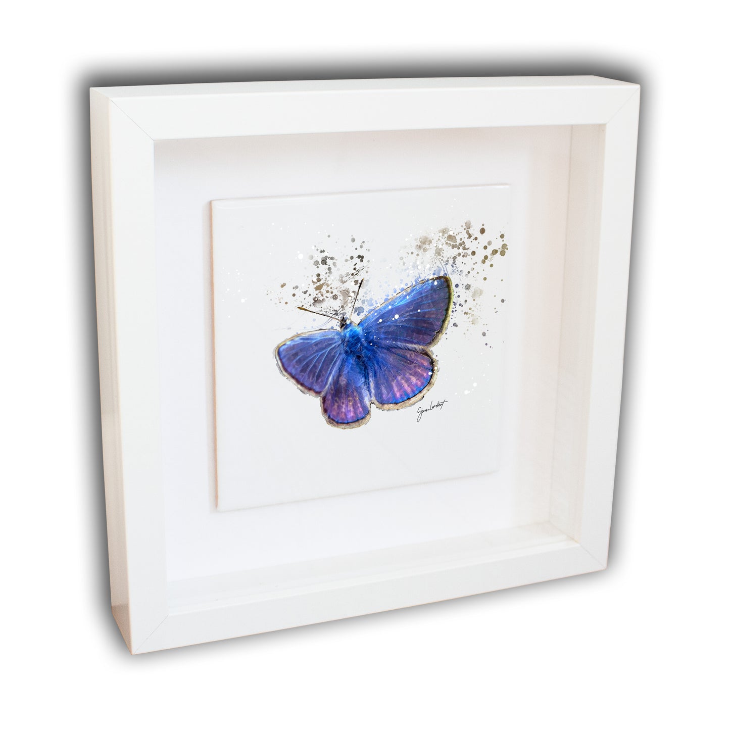 Blue Butterfly Portrait Brush Splatter Style Artwork - Framed CERAMIC TILE Art