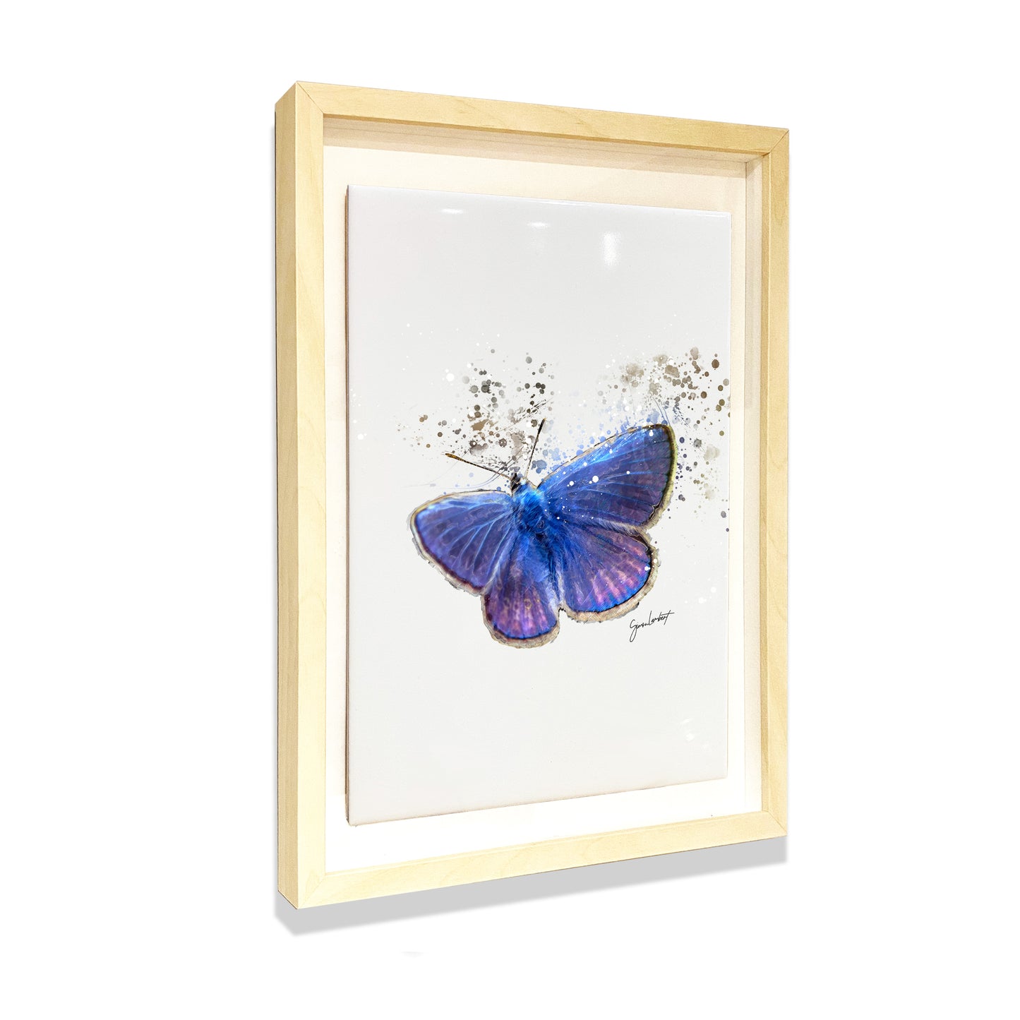 Blue Butterfly Portrait Brush Splatter Style Artwork - Framed CERAMIC TILE Art