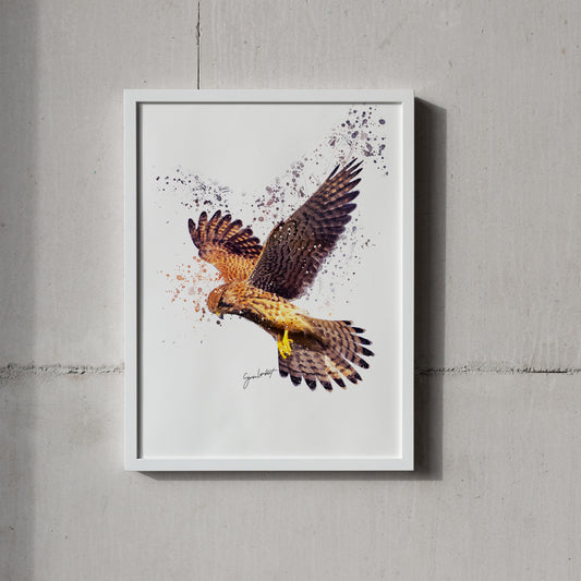 Kestrel Portrait Splatter Style Artwork Fine Art Print (Unframed)