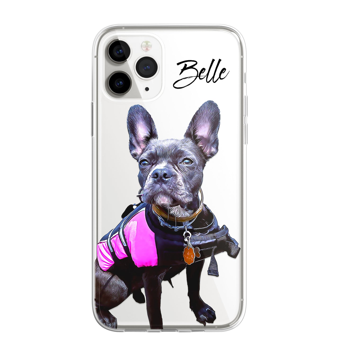 PET Painting Portrait Dog Cat Personalised Phone Cover Case for iPhone 14 13 12+