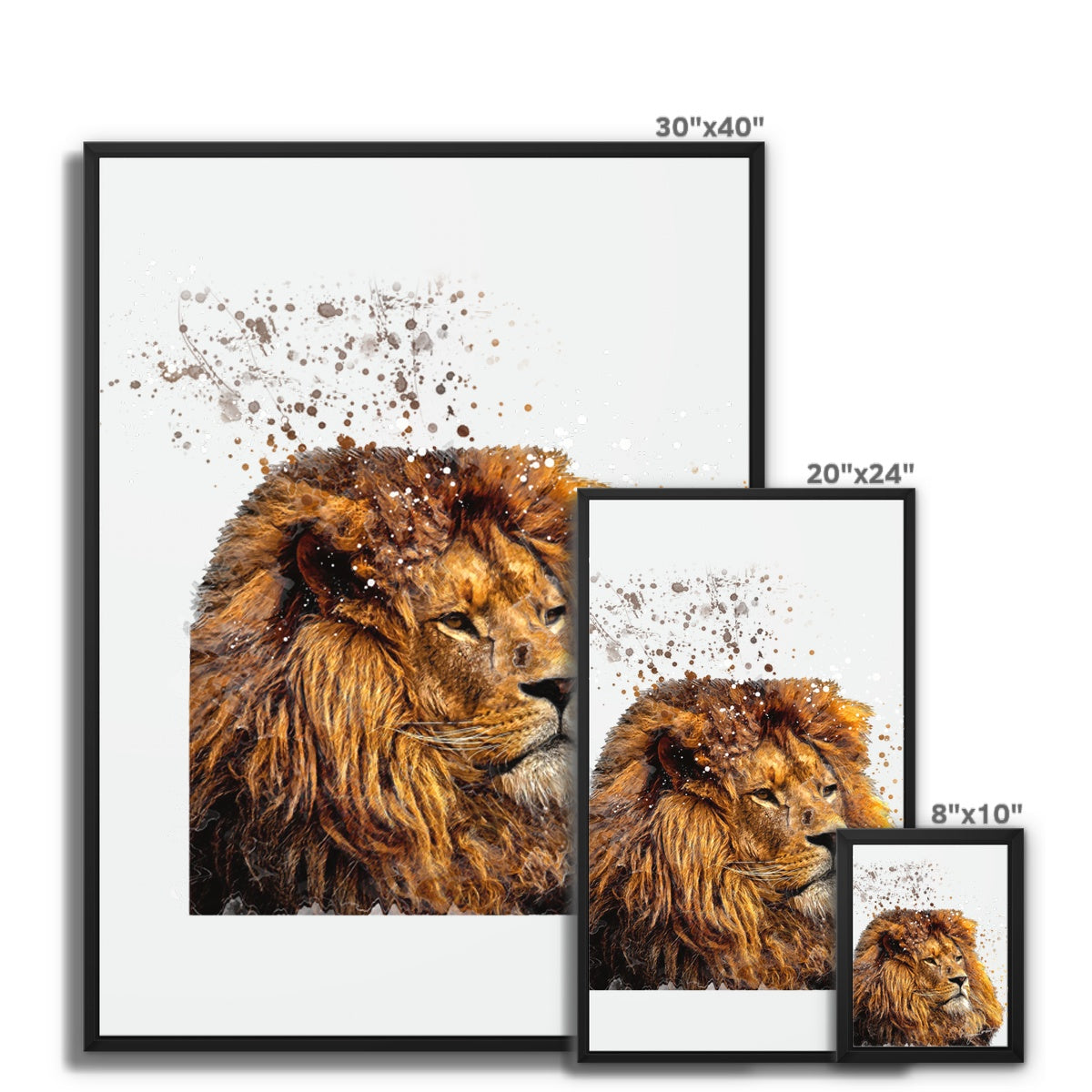 Lion Splatter Brush Artwork Framed Canvas