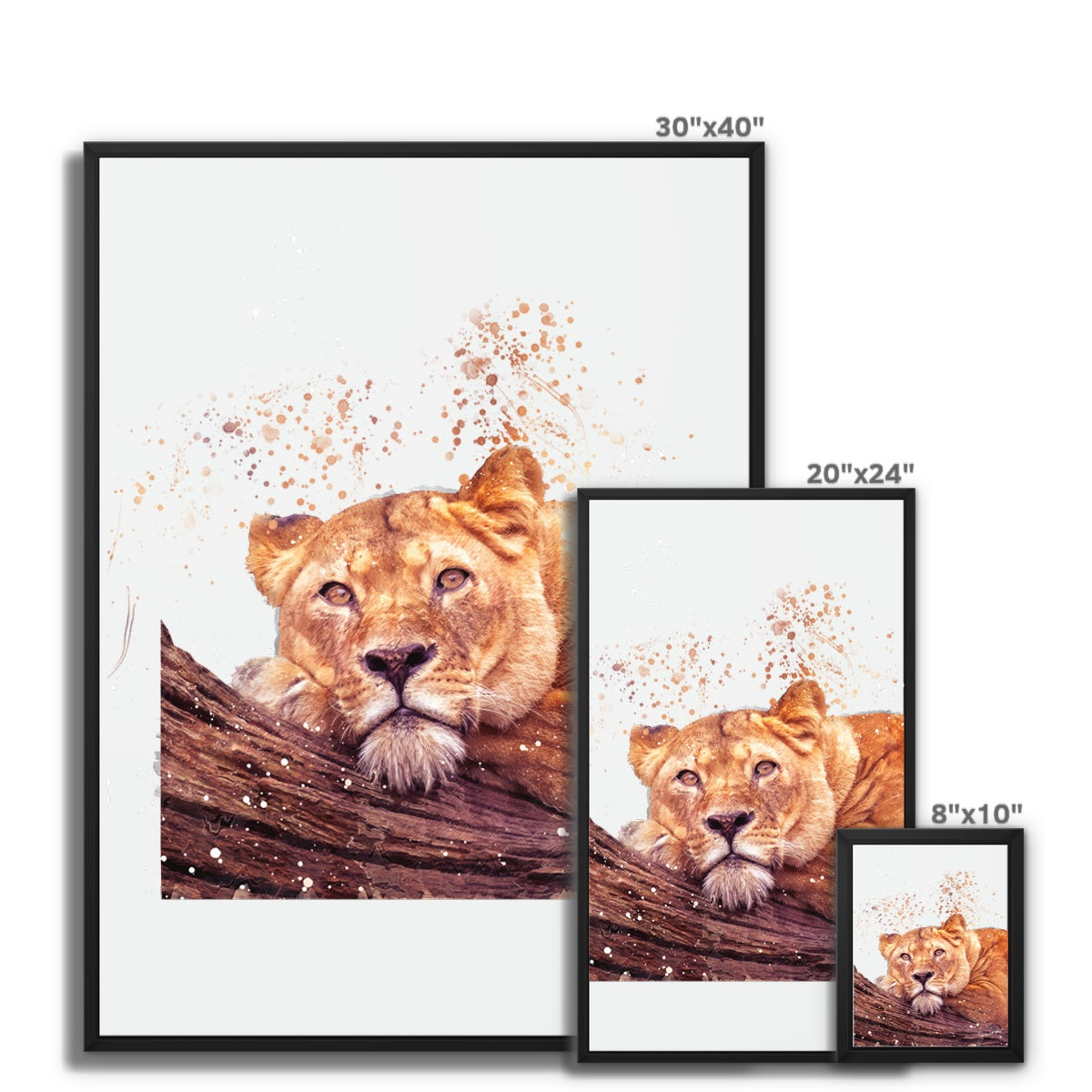 Lioness Splatter Brush Artwork Framed Canvas