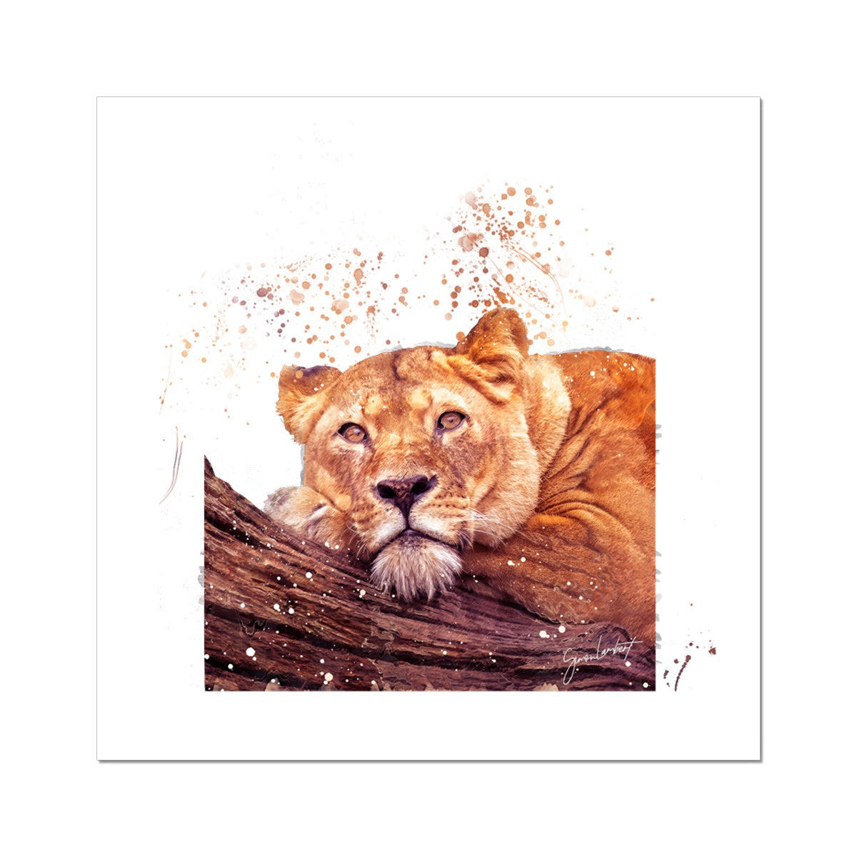 Lioness Splatter Brush Artwork Fine Art Print