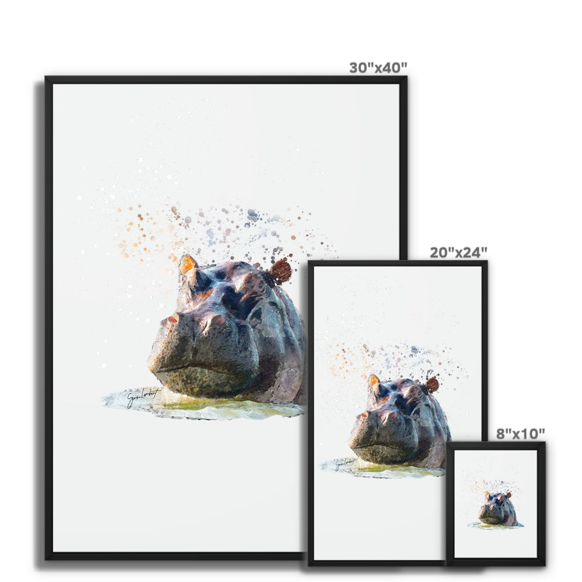 Hippo Splatter Brush Artwork Framed Canvas