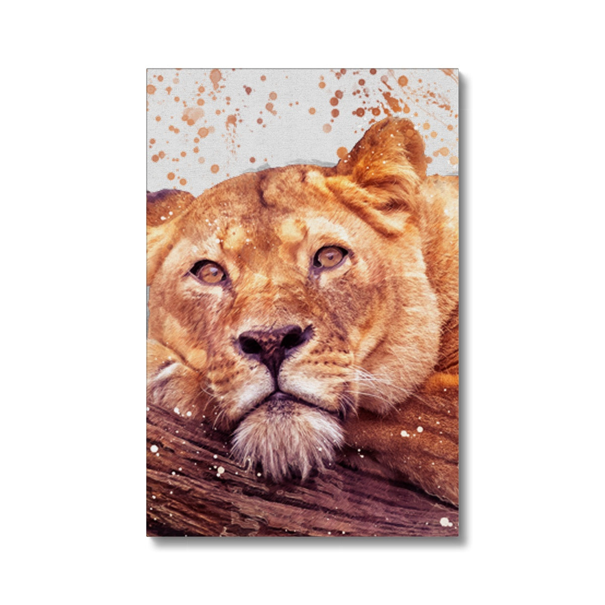 Lioness Splatter Brush Artwork Eco Canvas