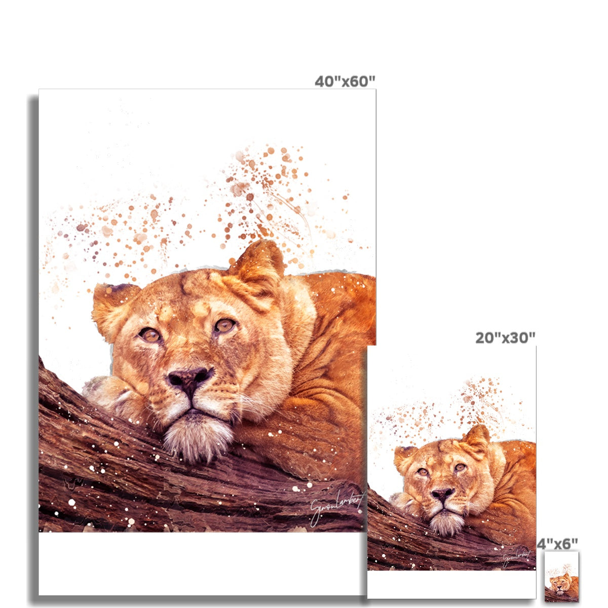 Lioness Splatter Brush Artwork Fine Art Print