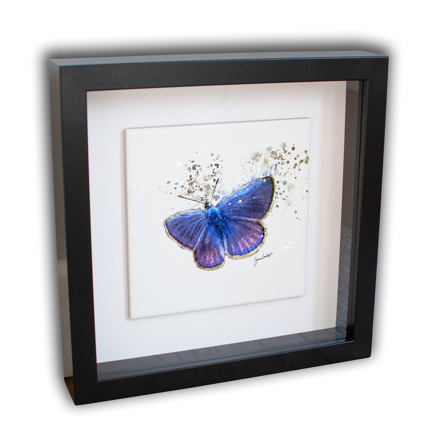 Blue Butterfly Portrait Brush Splatter Style Artwork - Framed CERAMIC TILE Art