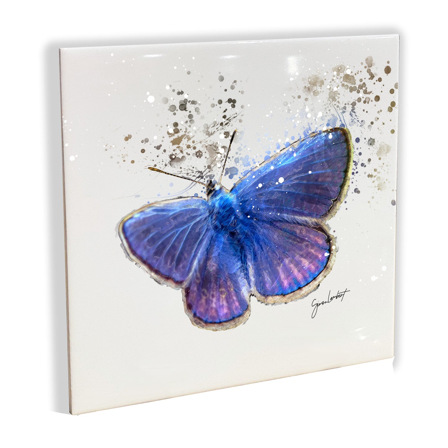 Blue Butterfly Portrait Brush Splatter Style Artwork - Framed CERAMIC TILE Art