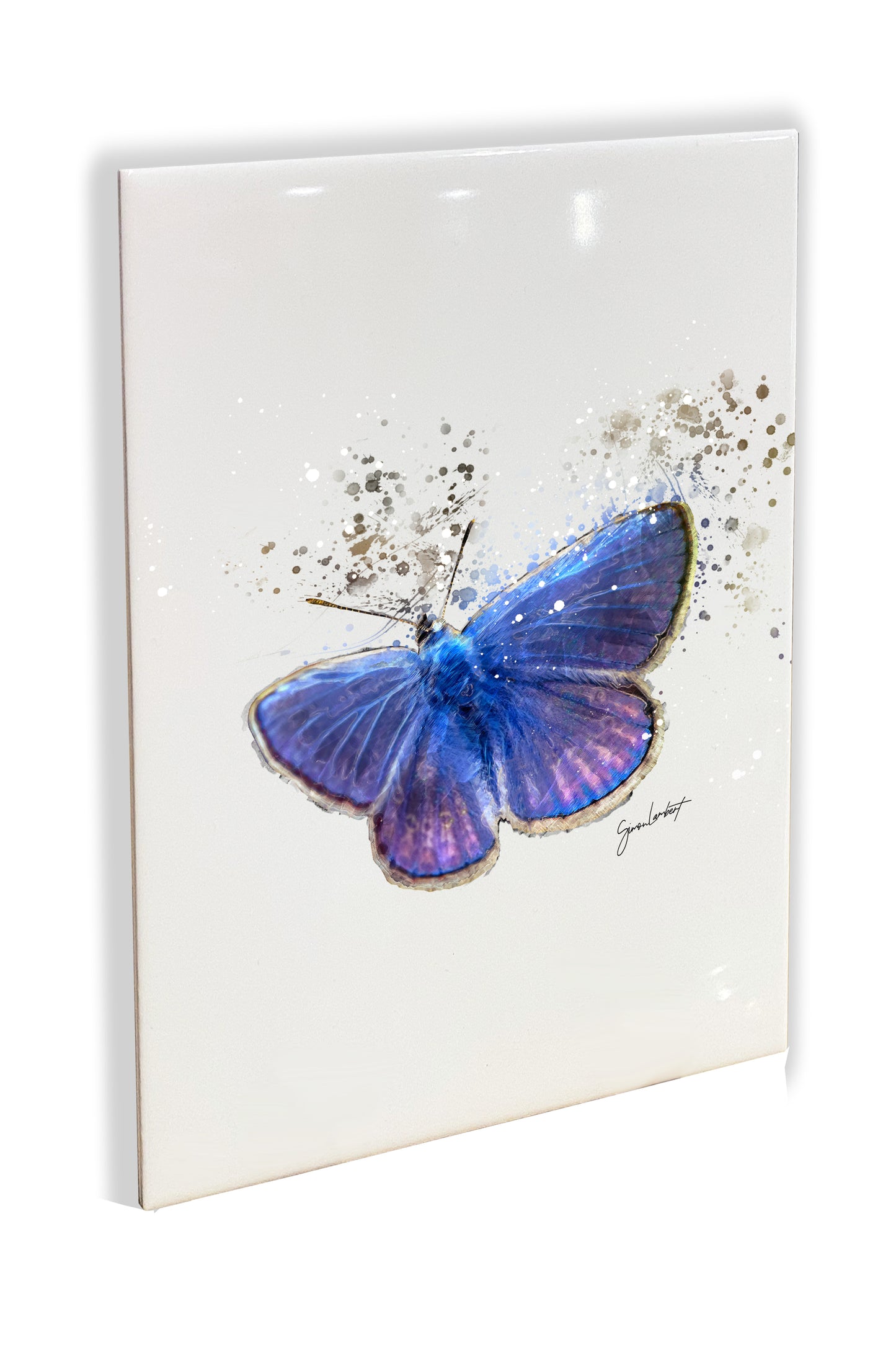 Blue Butterfly Portrait Brush Splatter Style Artwork - Framed CERAMIC TILE Art