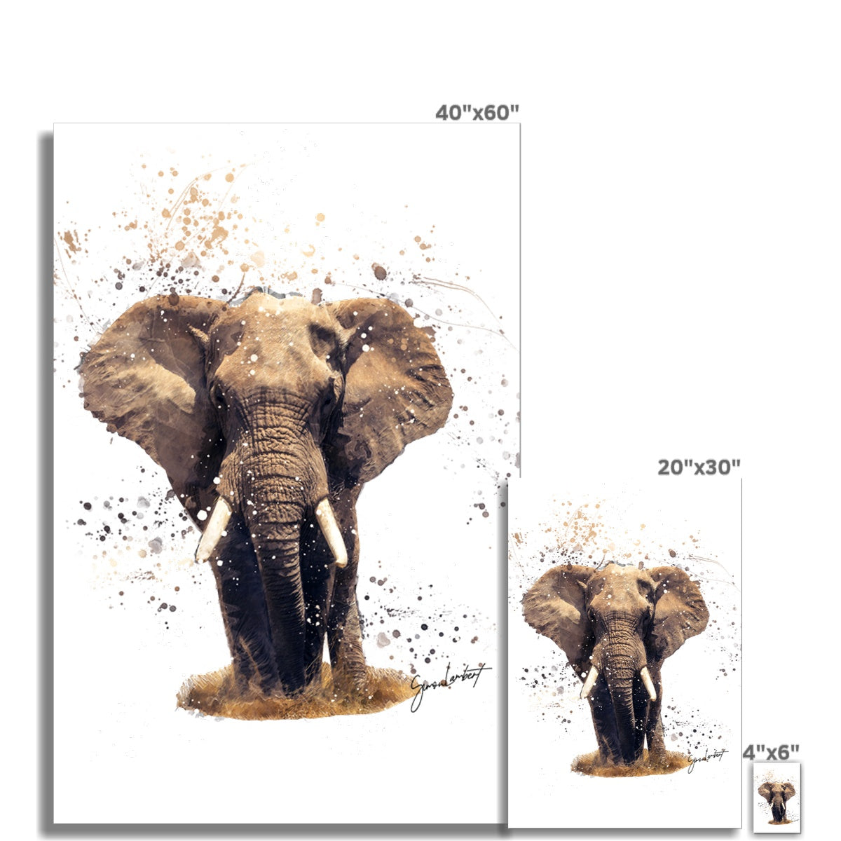 African Elephant Splatter Brush Artwork Fine Art Print