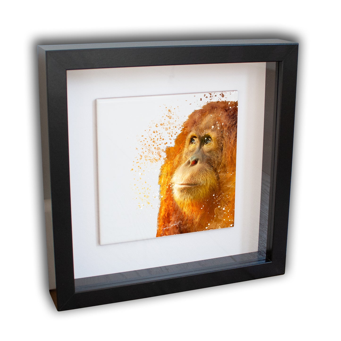 Orangutan Portrait Brush Splatter Style Artwork - Framed CERAMIC TILE Art
