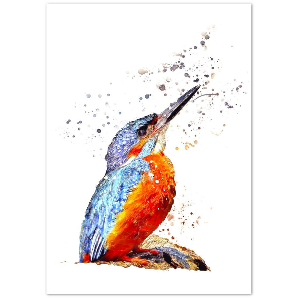Kingfisher Print on Premium Matte Paper Poster